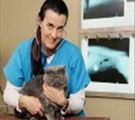 Cape Veterinary Hospital - Cape May Court House, NJ