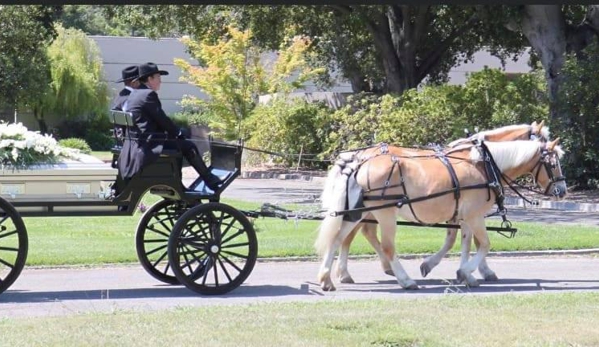 Fancy Ferriage by Horse & Carriage - Oakley, CA