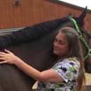 Horse Care Companion, LLC - Pet Sitting & Exercising Services