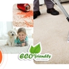 Stafford Carpet Cleaning gallery