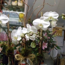 CitiFloral - A Little Shop of Flowers - Florists