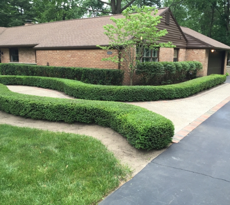 NH Shrub & Tree Trimming - New Baltimore, MI