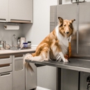 Long Valley Animal Hospital - Veterinarians