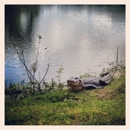 Brazos Bend State Park - State Parks