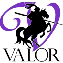 Valor Mold Removal - Mold Remediation