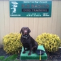 K9 Basics - Top Dog Training in Marlton