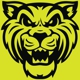 Wildcat Movers - Frisco