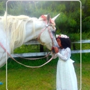 Breezy Meadow Equestrian Centre - Riding Academies