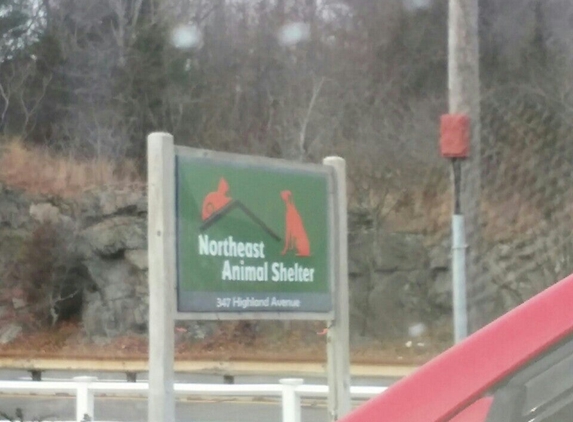 Northeast Animal Shelter Inc - Salem, MA