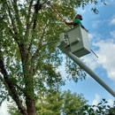 Great Dane Tree Experts & Landscaping, LLC - Arborists