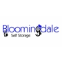 Bloomingdale AC Self Storage