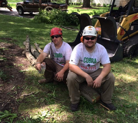 Cobra Tree Service - Memphis, TN. Taking a break