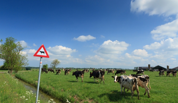 Dairy Tech South East - Suttontown, SA. Providing Quality Workmanship & Equipment