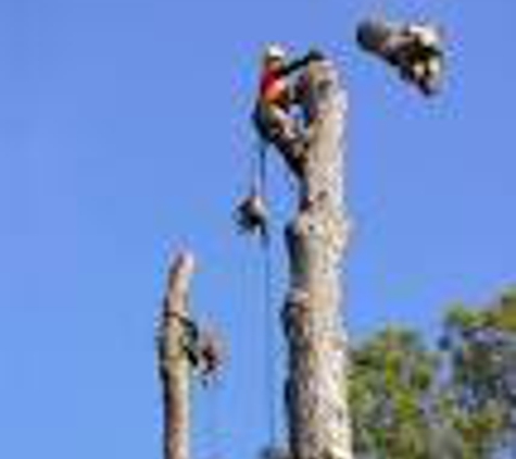 Knoll & Son's Tree Service - Michigan City, IN