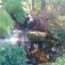 Complete Ponds - Ponds & Pond Supplies