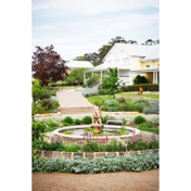 Gallery Image Number 1