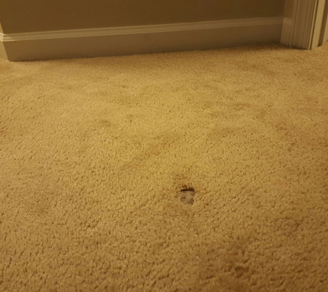 Carpet Restretch Repair - Lorain, OH