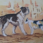 Gallery Image Number 4