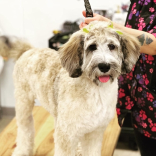 Ashley's Country Pup Store Dog Grooming - San Antonio, TX