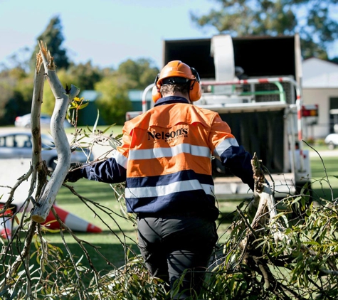 Nelson's Tree Services