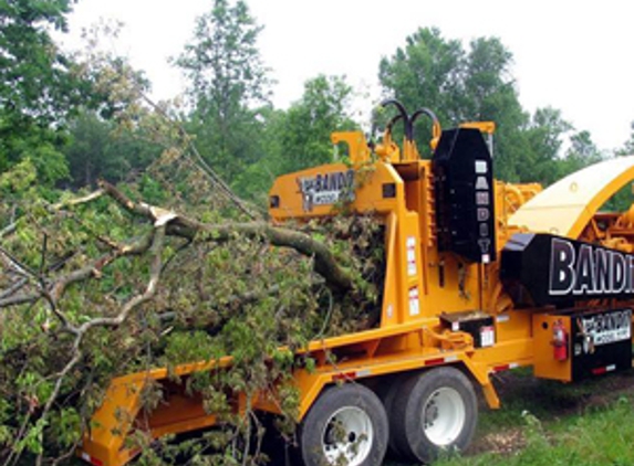 Dan's Tree Services - Wangaratta, VIC
