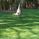 Mason Valley Turf-Sod - Sod & Sodding Service