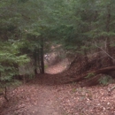 Bankhead National Forest - Foresters