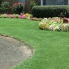 Ultimate Turf LLC gallery