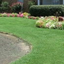 Ultimate Turf LLC - Weed Control Service
