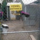 Paran Tree Kennels