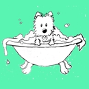 Pampered Pup Spa & Salon - Pet Grooming