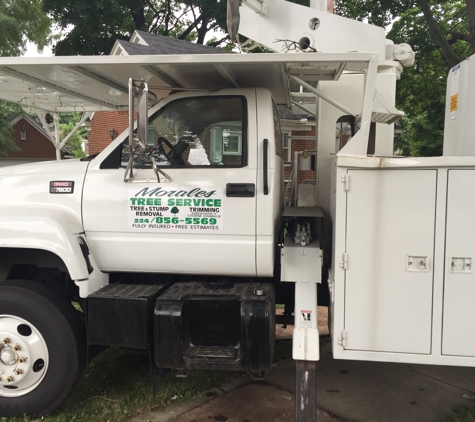 Morales Tree Service - Elgin, IL