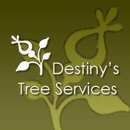 Destiny's Tree Service, LLC - Stump Removal & Grinding