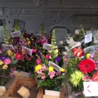 Beaumont Florist