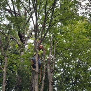 Oakes Tree Service & Rubish Removal