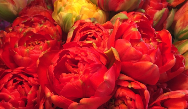 Pike Place Flowers - Seattle, WA