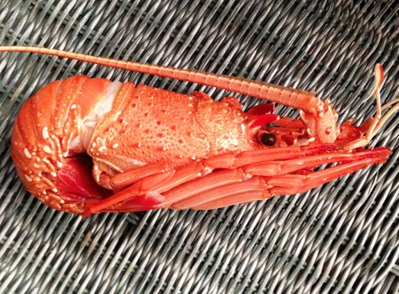Latitude Fisheries Pty Ltd - West End, WA