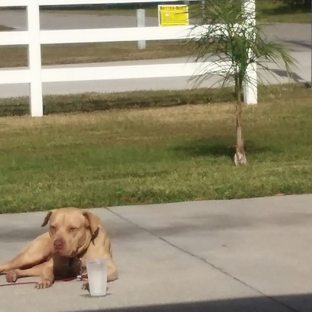 Canine Villa Kennels - Titusville, FL