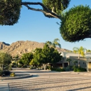 The Phoenician Tavern - Bars