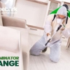 Treebark Termite and Pest Control Orange gallery