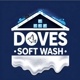 Dove's Soft Wash