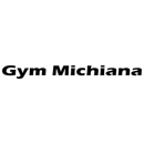 Gymnastics Michiana - Gymnastics Instruction