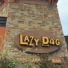 Lazy Dog Cafe gallery