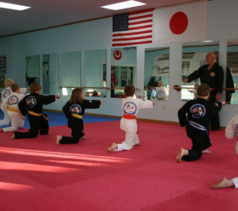 American Martial Arts Inst - Cedar Springs, MI