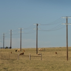 Guadalupe Valley Electric