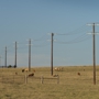 Guadalupe Valley Electric