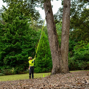 Bartlett Tree Experts - Chicago, IL - Chicago, IL