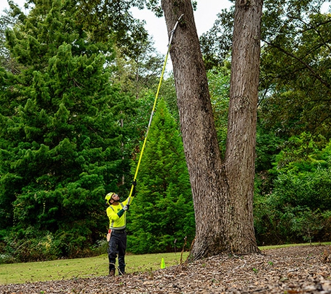 Bartlett Tree Experts - Greer, SC