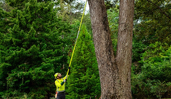 Bartlett Tree Experts - Lebanon, NJ - Lebanon, NJ