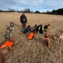 Salty Paws - Daycare & Adventures For Your Dog - Dog Day Care